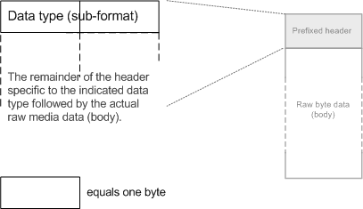 FirstTwoHeaderBytes_Datatype.png